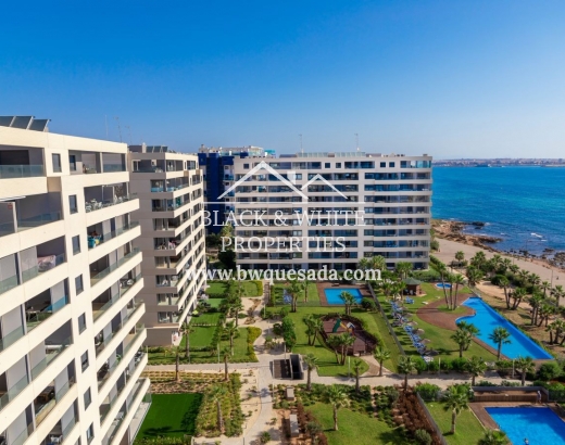 Appartement - Nouvelle construction - Punta Prima - Punta Prima