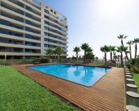 Nouvelle construction - Appartement - Punta Prima