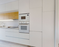 Nouvelle construction - Maison de ville  - Pilar de la Horadada