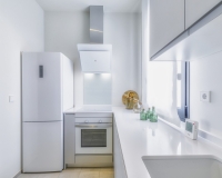 Nouvelle construction - Maison de ville  - Pilar de la Horadada