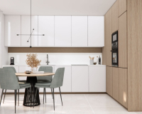 Nouvelle construction - Maison de ville  - Rojales