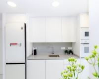 Nouvelle construction - Ville - Los Montesinos