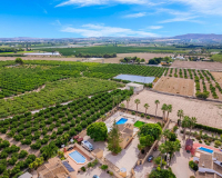 Revente - Finca - Rafal