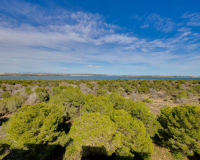 Venta - Apartamento - Torrevieja