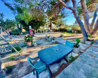 Venta - Finca - Guardamar del Segura