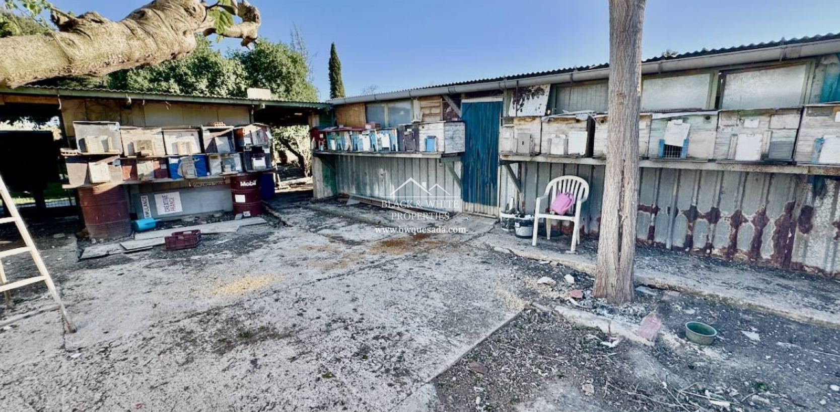 Venta - Finca - Guardamar del Segura