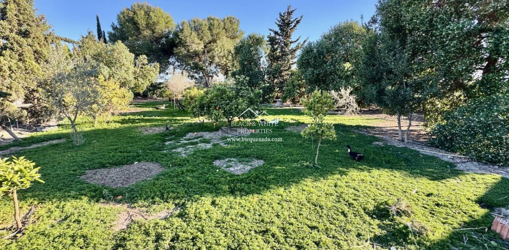 Venta - Finca - Guardamar del Segura