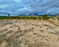 Venta - Finca - Orihuela