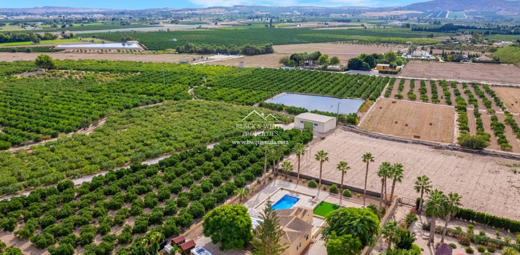 Venta - Finca - Rafal