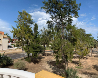 Venta - Villa - Guardamar del Segura - El Raso